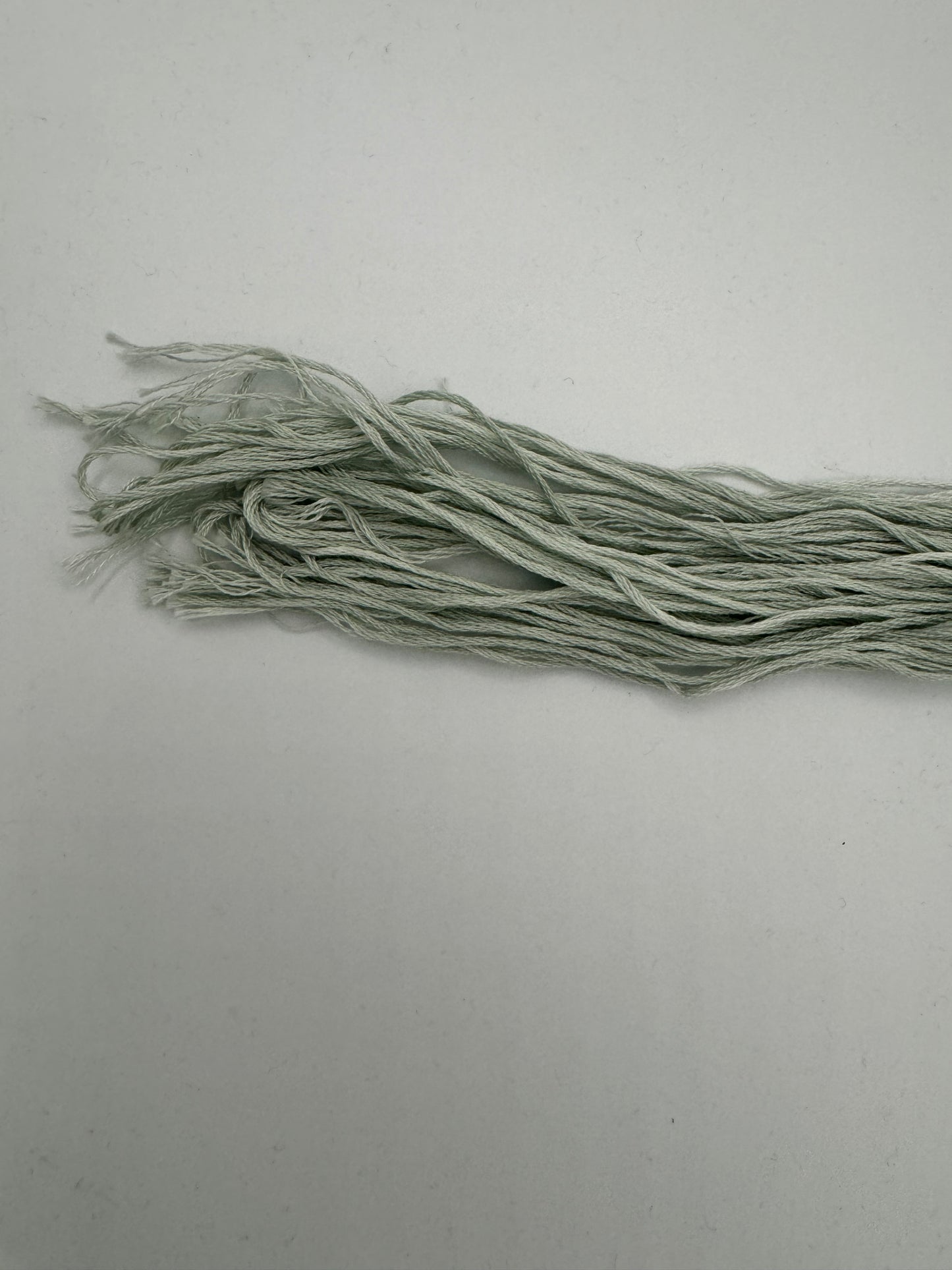 Green Onion - Classic Colorworks Cotton Floss