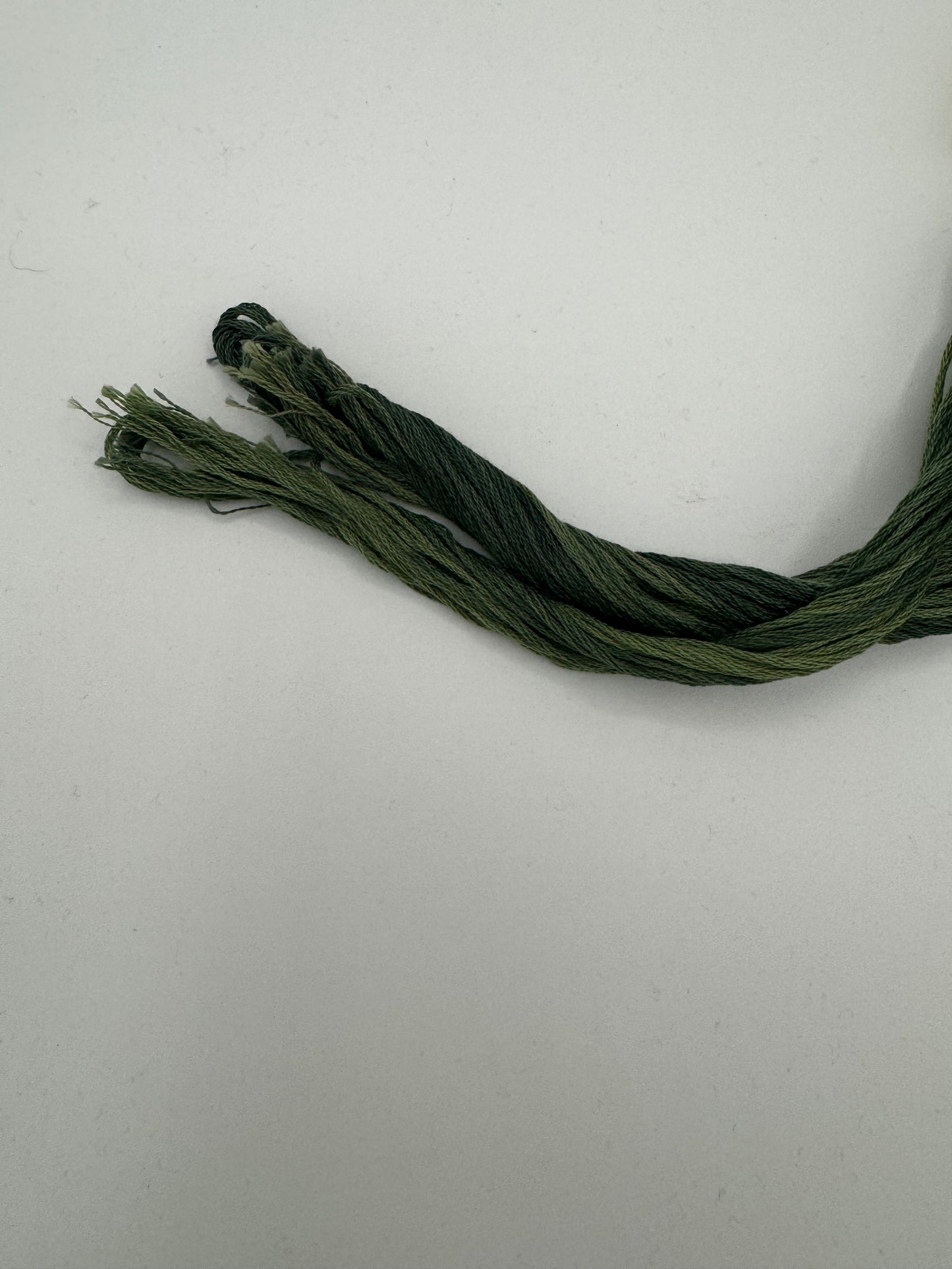 Spinach - Classic Colorworks Cotton Floss