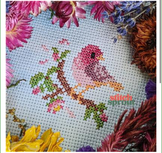 Rose Finch on Cherry Blossom - StitchSprout