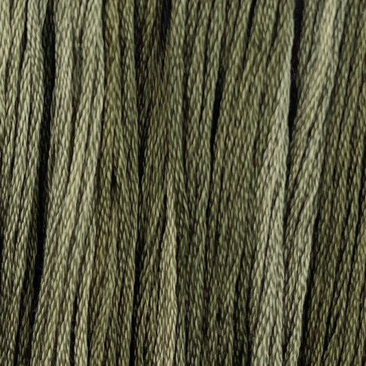 PREORDER Colour and Cotton Thread - Marsh