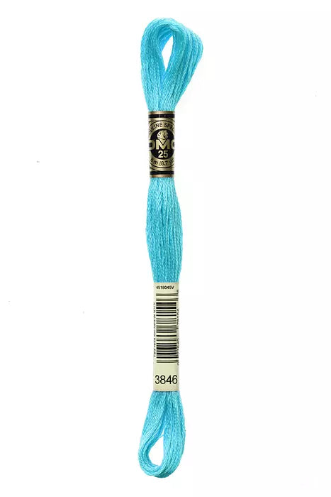 #3846 DMC Cotton Embroidery Floss