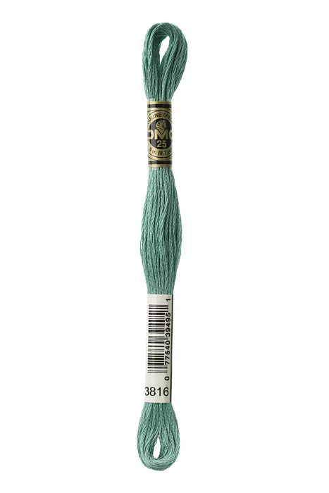 #3816 DMC Cotton Embroidery Floss