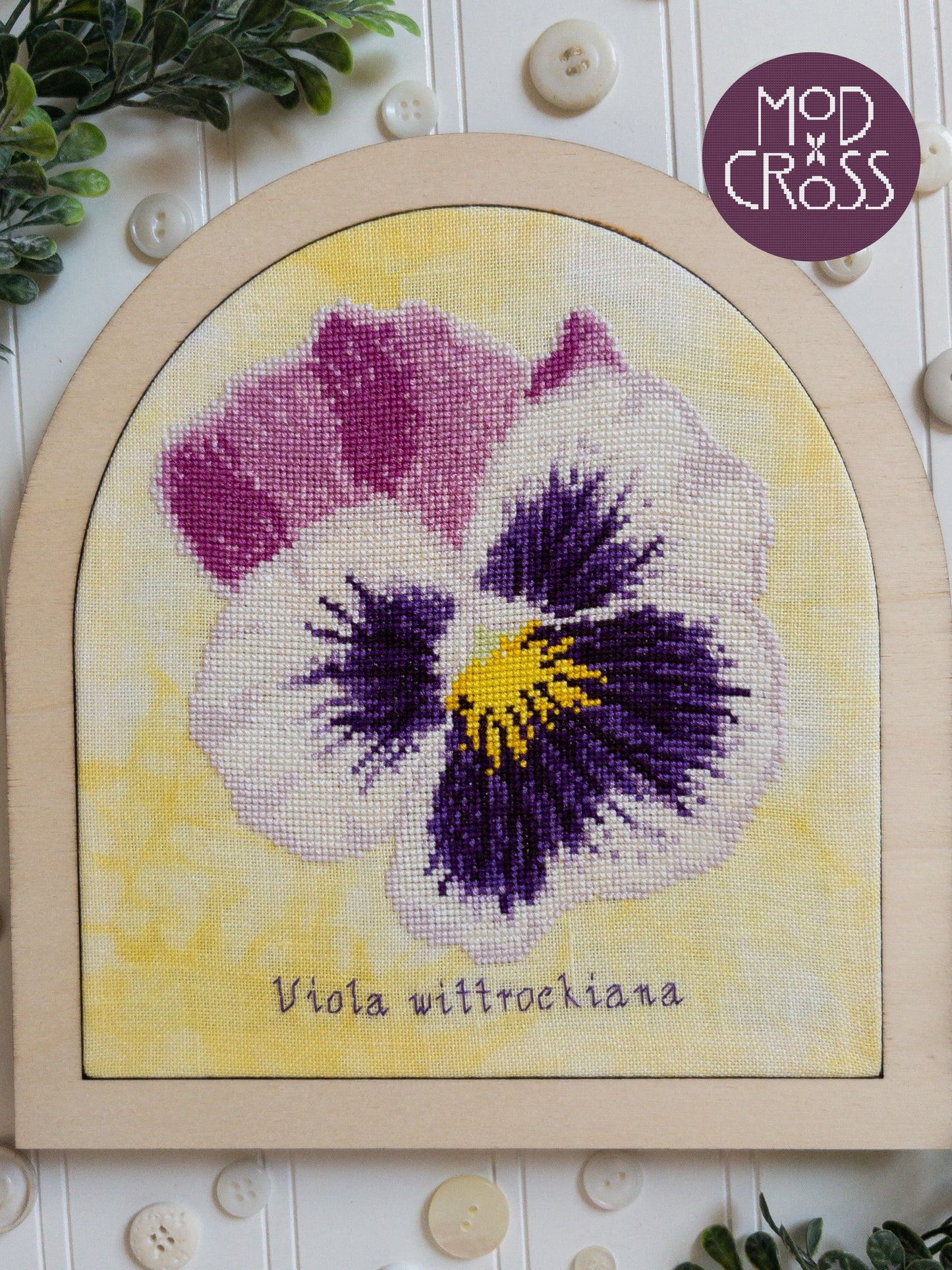 Pansy Bloom - ModCross